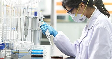 銷售返點(diǎn)支持-門窗十大品牌